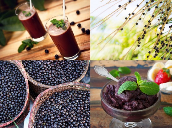 Acai Berry Juice Benefits